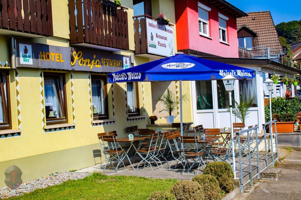 Hotel Sonja Bad Bellingen Luaran gambar